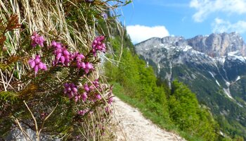 Der sagenumwobene Untersberg